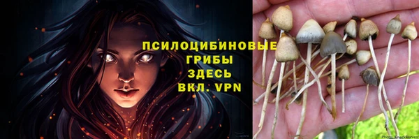 ешки Алзамай