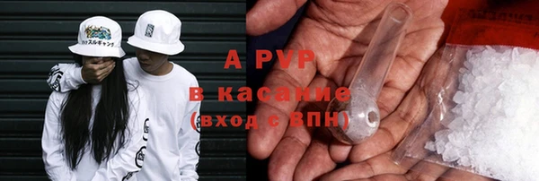 стаф Алексин