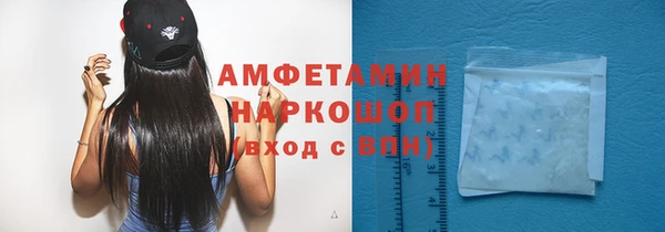 стаф Алексин