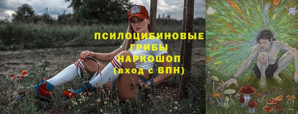 стаф Алексин