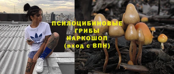 мяу мяу мука Алексеевка