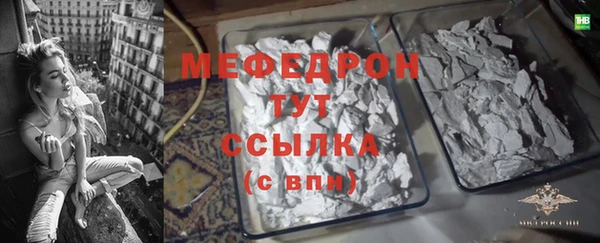 apvp Каменка